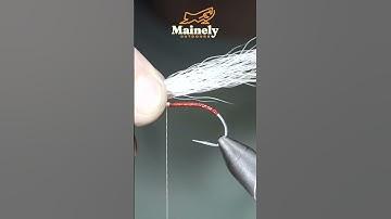 Try THIS  Saltwater Minnow