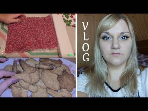 VLOG Снег/Тестируем Вакуумный упаковщик/РомантИк/Печеньки