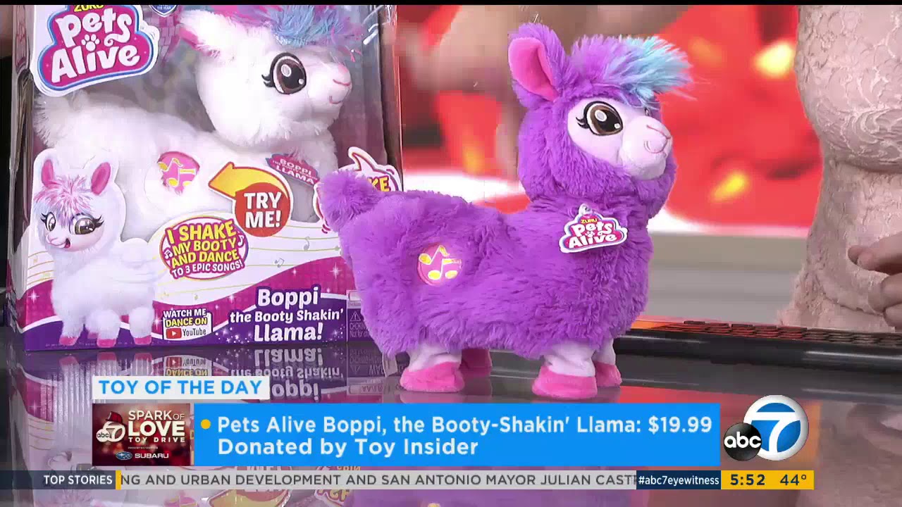 boppi llama amazon