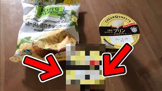 【神回】世界で一番美味い？！簡単！お手頃！安い！誰でも作れる驚きのプリンを紹介します！！【Rjビットちゃんねる】