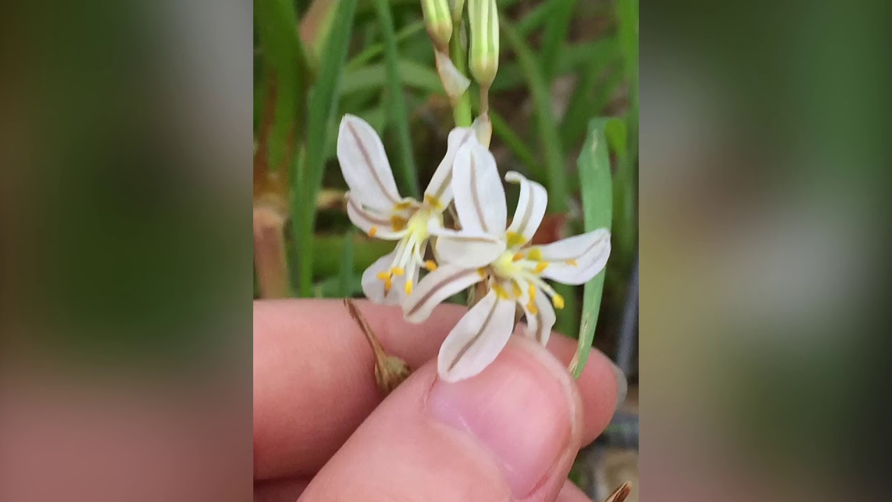 My photos from 2019 - YouTube