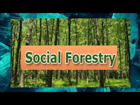 Video: Ano ang tatlong layunin ng social forestry?