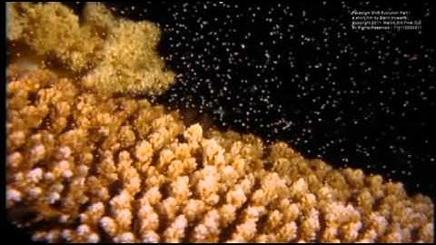 Paradigm Shift - Part 1