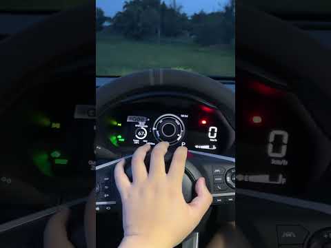 POV: The traffic light is about to green and you honk the car