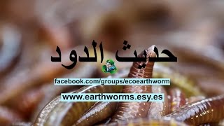 خطوات إنشاء مزرعة دودة الأرض (Red Wiggler)