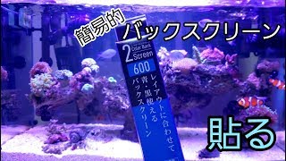 【海水水槽】簡易的なバックスクリーンを貼ってみた！