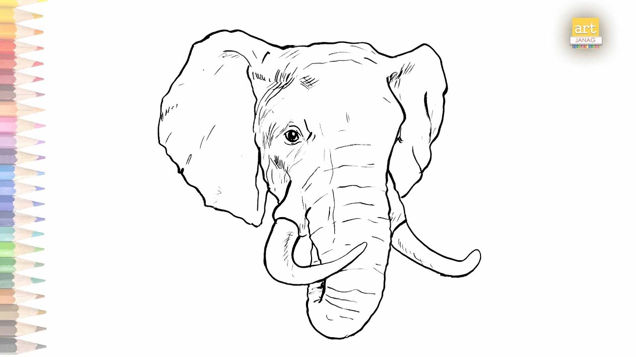 6805 Elephant Head Sketch Images Stock Photos  Vectors  Shutterstock