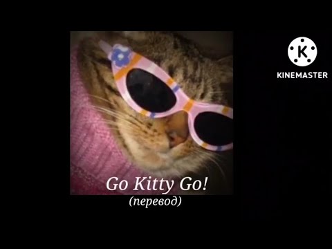 Dancing cats: Go Kitty Go! - Давай, котёнок, двигайся! (перевод)