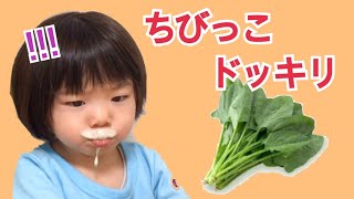 苦手な野菜をミックスジュースに入れてみた！【ちびっこドッキリ】