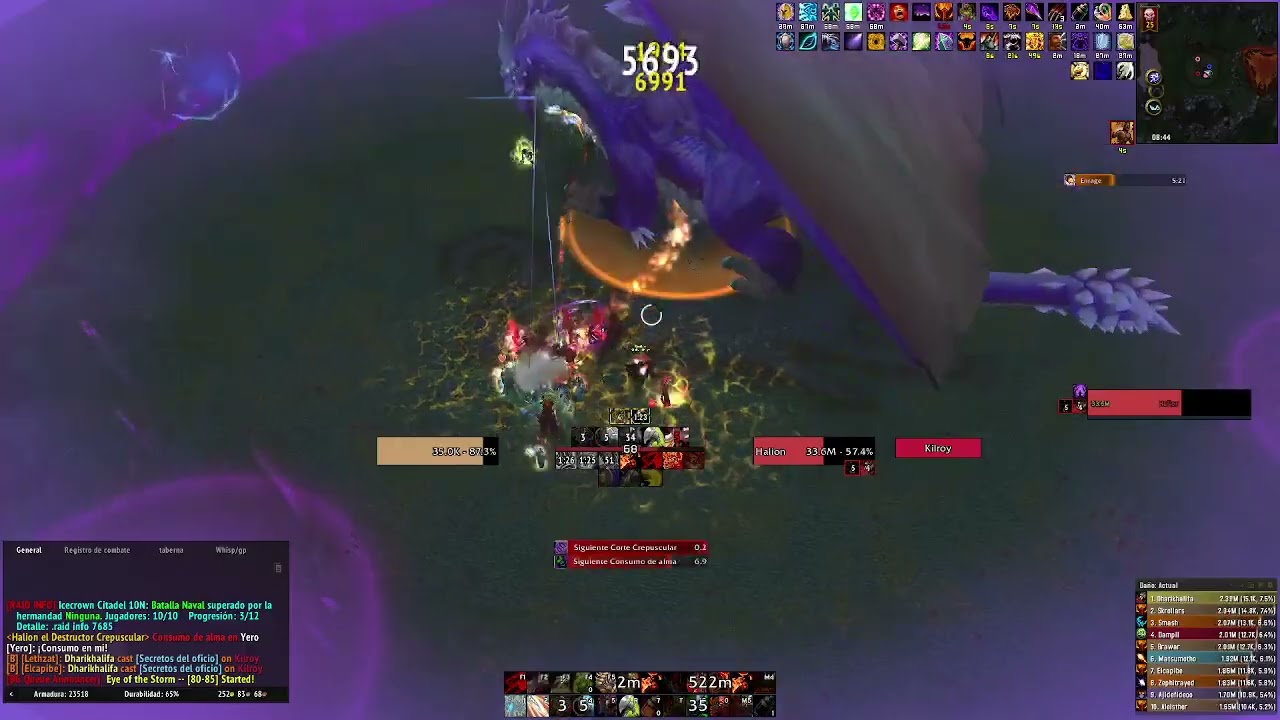 SR 25H HALION | POV WARRIOR | NAERZONE