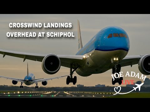 🔴 LIVE: Crosswind Landings at Amsterdam Schiphol | Oct 16, 2025