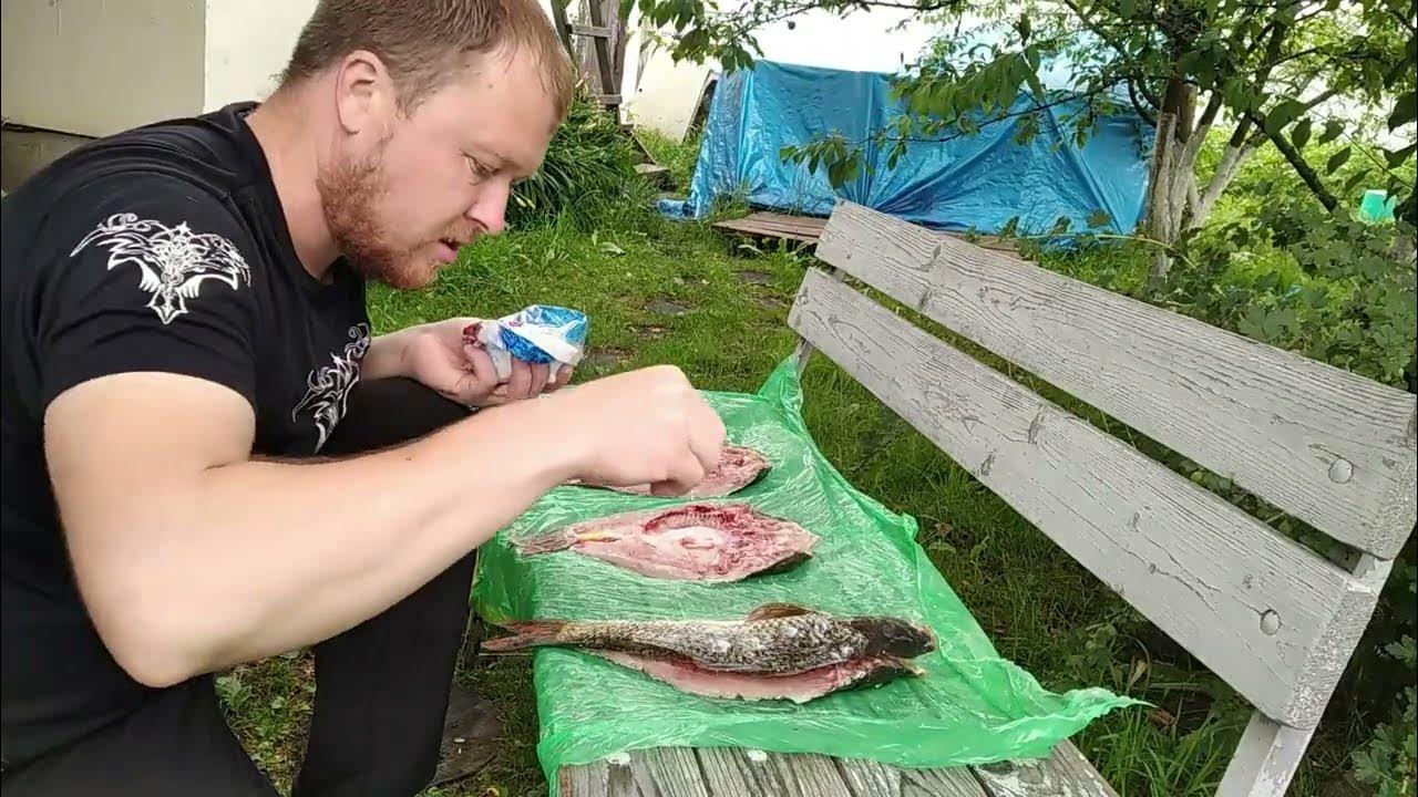 карп горячего копчения - YouTube