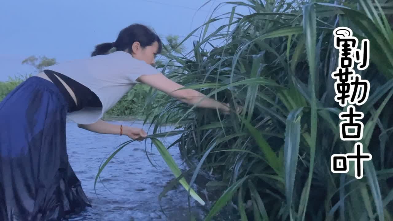 小溪边边长满了勒古叶，割了一些回去包蛤蒌粽，勒古叶包出来的粽子味道很清香，因为叶子处理起来比较复杂，所以包这种粽的人越来越少了 - YouTube