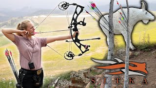 Total Archery Challenge - TOUGH & TECHNICAL screenshot 2