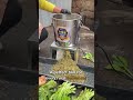 Daily Chicken Farming Life — Home Stainless Steel Vegetable Shredder Review & Demo! #chickenfeed