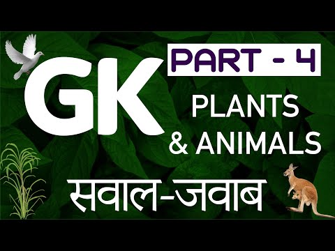 Basic GK questions Part 4 | Plants & Animals | सवाल जवाब | पौधे और पशु | Basic Quiz