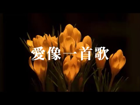 蔡琴 Tsai Chin「愛像一首歌」♪ღ Happy Family Day!