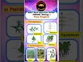 NEET Most Important Biology NCERT Images | NEET | CBSE | NCERT | Animation