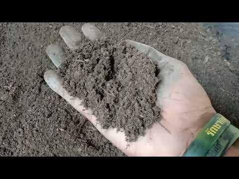 ผลสลากกินแบ่งรัฐบาล วันที่ 1 พย. 2567