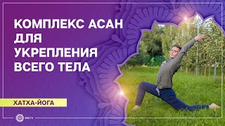 видео: Хатха-йога. Комплекс асан для укрепления всего тела. Борис Рожнов картинка: Хатха-йога. Комплекс асан для укрепления всего тела. Борис Рожнов