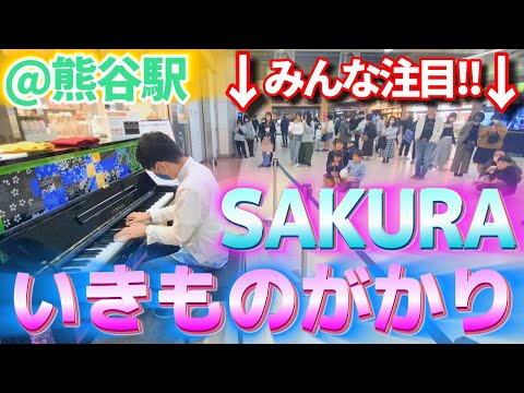 お花見に来た人達へ捧げる いきものがかり「SAKURA」【ストリートピアノ】