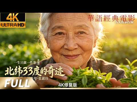 《北纬33度的奇迹》！女茶圣60年让北方长出黄金芽，她让茶叶向北跨越300公里！商南茶母张淑珍真实故事，从野生茶到产值10亿！陕西女专家打破茶叶种植北限传奇