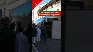 Incidente tra bus di studenti e un furgone a Stradella (Pavia): almeno 5 feriti in modo lieve