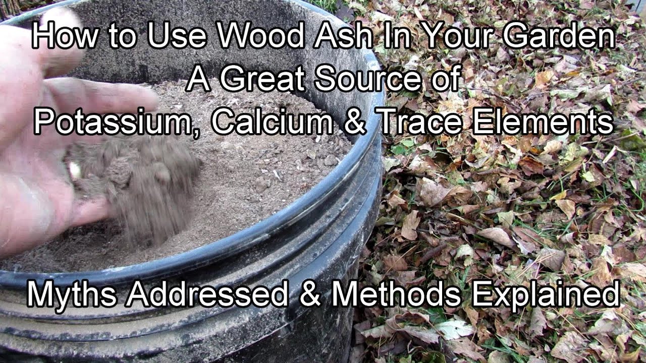 How to Use Wood Ash in Your Vegetable Garden Myths Addressed & Methods