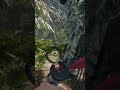 Bear loves sharp nails | #shorts #games #videogames #pcgaming #hunting #videogaming #cotw #thehunter