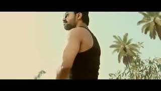 mersal Vetrimaaran ( sattaya kudra ennada prachana)