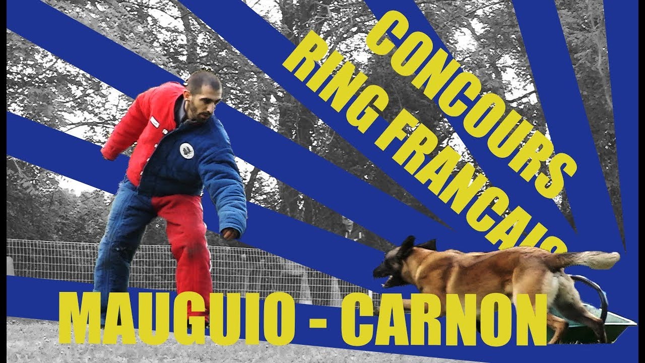 CONCOURS RING Français Mauguio Carnon Mai 2019 YouTube