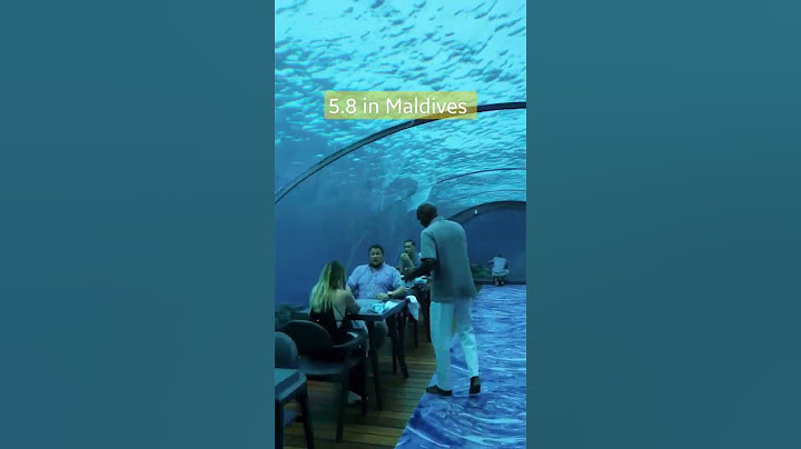 inside the worlds largest underwater restaurant! 🙌