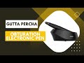 Fi-E Endo Obturation System Woodpecker - Gutta Percha Obturation Electronic Pen Dispenser