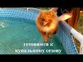 Воспоминания о лете! Баффик наслаждается погодой и природой!