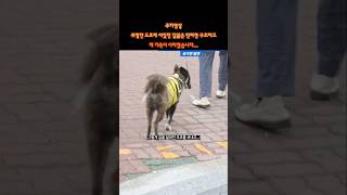 더 큰 일이 생겼습니다...