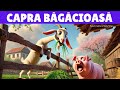 Capra băgăcioasă - Poveste Amuzantă cu Lecție Biblică despre Respect și Bun-Simț
