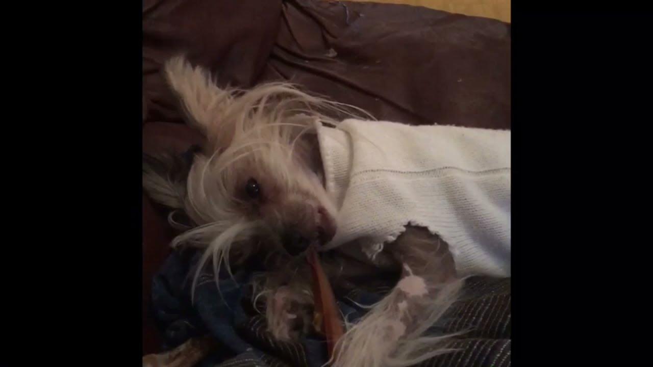 Naken tjej - YouTube