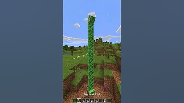Tall Creepers Datapack In Minecraft😱 #minecraft #shorts