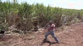 YTPMV - Canavial Toxico