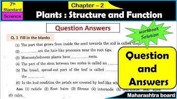 Plants: Structure and Function | Question Answers | Class 7 | Chapter 2 | Science Maharashtra Board