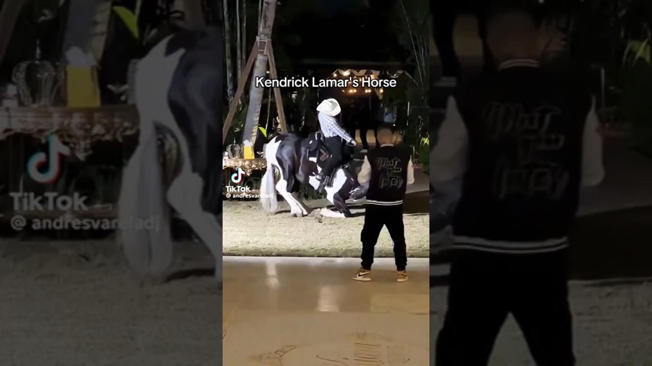 Watch Hip-Hop Horses #kendricklamar #dancing #horses 🐎🐎 on YouTube Watch Hip-Hop Horses #kendricklamar #dancing #horses 🐎🐎 on YouTube