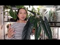Beginning of video