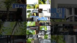Holly Wood 1,Los Angeles Landscape Photos Slideshow #photography #shortsyoutube #video #shorts