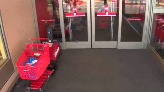 Grand Larceny from Target - 8315 N. Rockwell