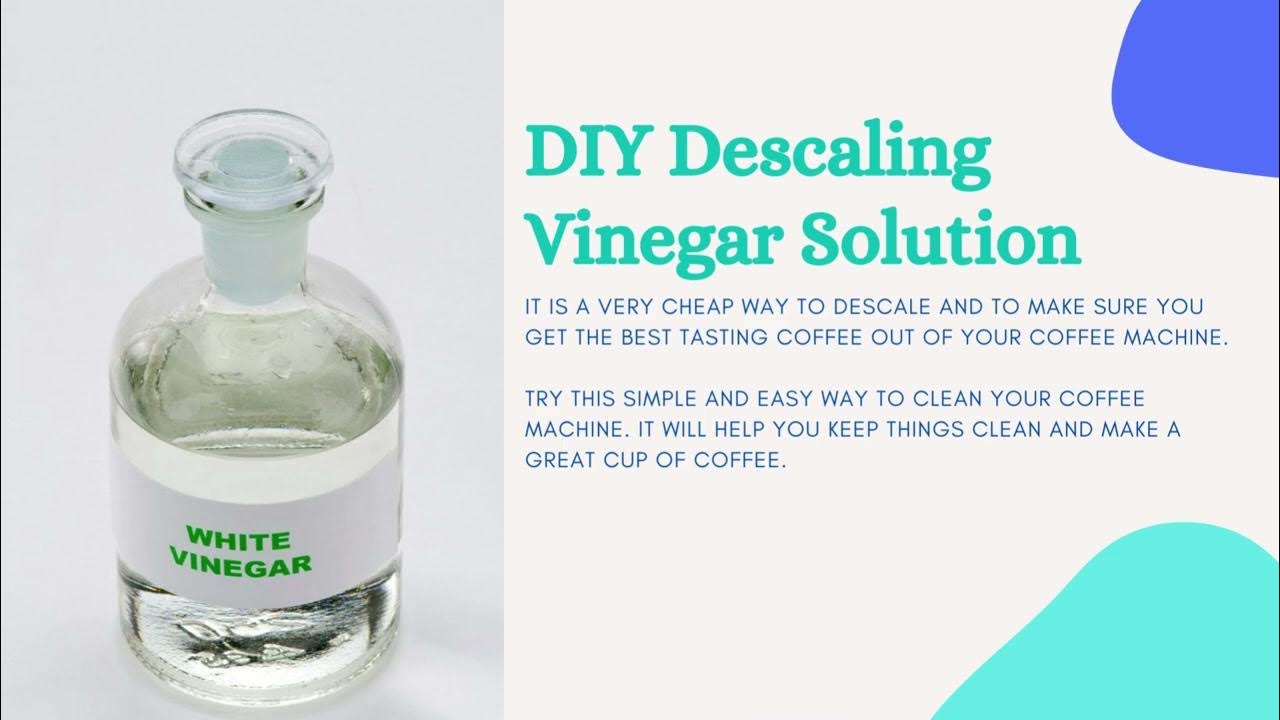 How To Make Easy Homemade Descaling Solution YouTube