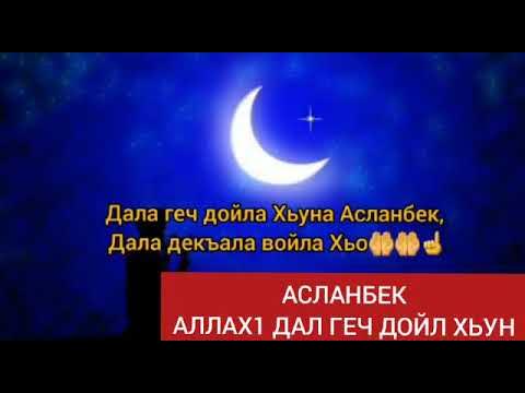 Мадина аласханова. Хьа дойл. Хьа дойл. Хьа дойл. Хьа дойл.
