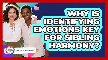 Why Is Identifying Emotions Key For Sibling Harmony? - Sibling Harmony Hub
