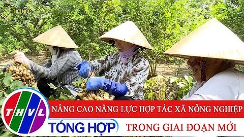 Nông nghiệp bền vững: Nâng cao năng lực hợp tác xã nông nghiệp trong giai đoạn mới