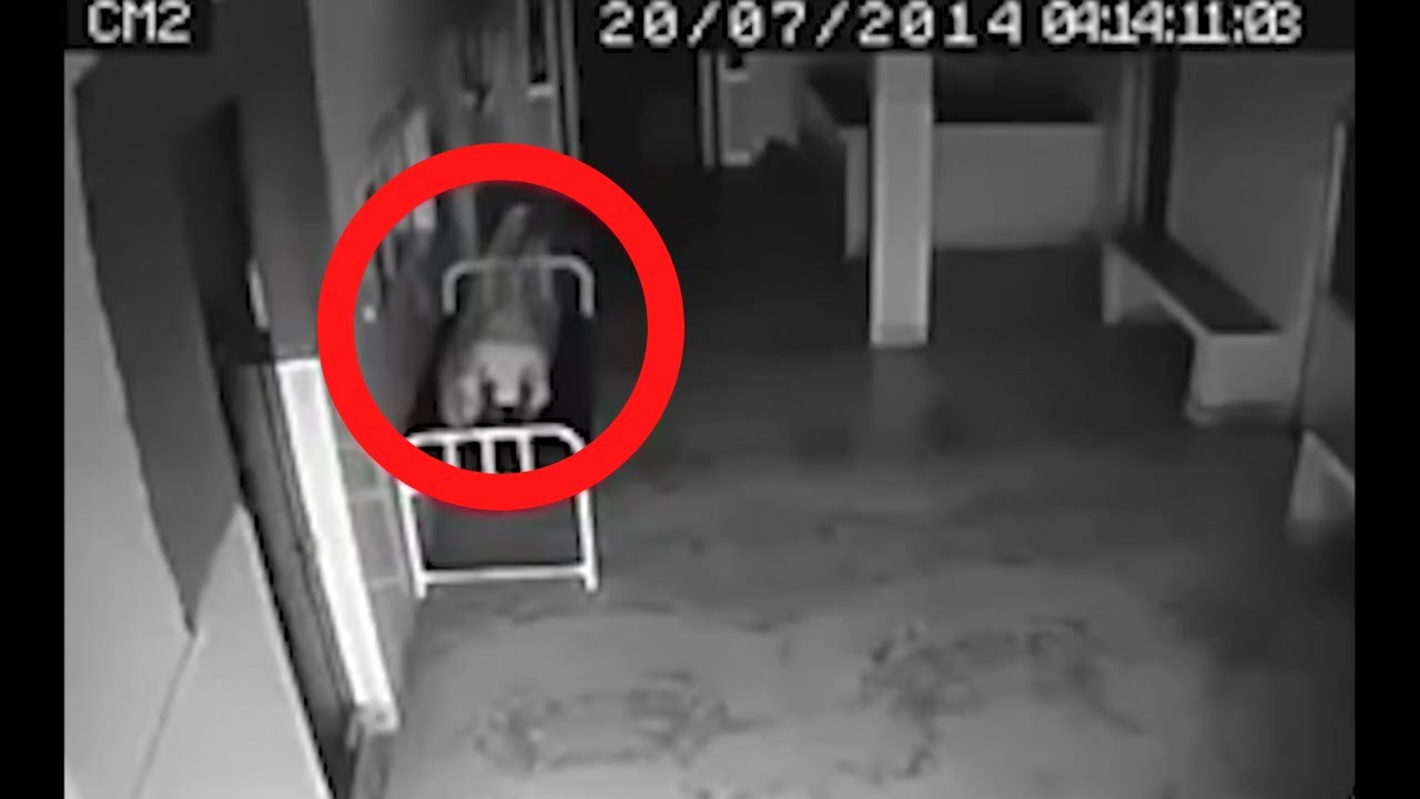 Top 10 Terrifying Real Ghost Activity Videos Caught on Camera ...