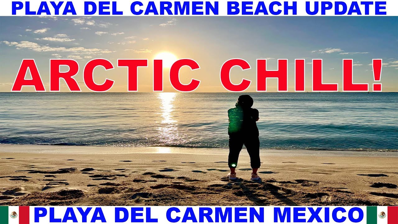 Обновление информации о пляже и морских водорослях в Плайя-дель-Кармен, Мексика: Арктический холо...